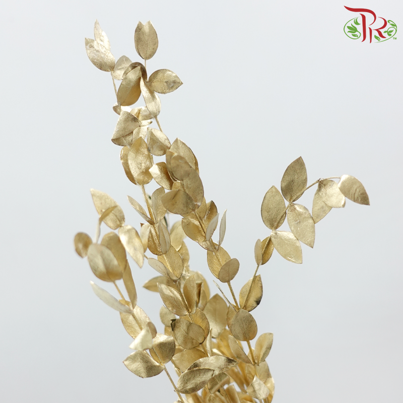 Preserved Eucalyptus Dyed Metal