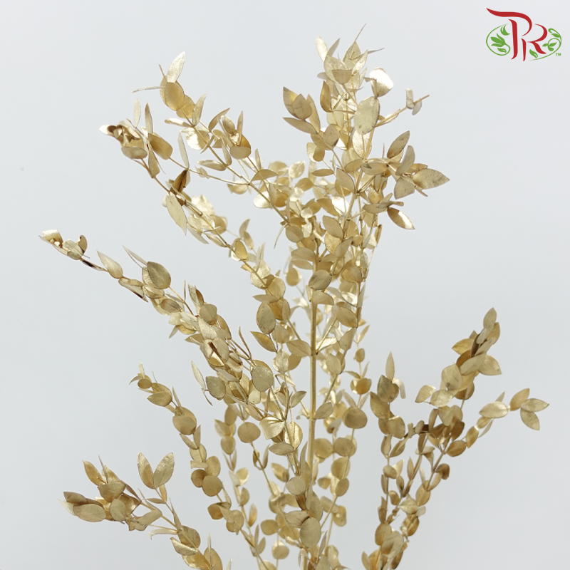 Preserved Eucalyptus Dyed Metal