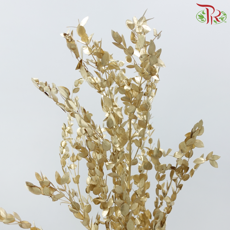 Preserved Eucalyptus Dyed Metal