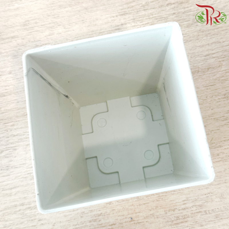 Felton Square Flower Pot (FBL-263-6) (FBL-263-7) (With Size & Color Options)