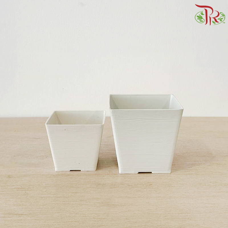 Felton Square Flower Pot (FBL-263-6) (FBL-263-7) (With Size & Color Options)