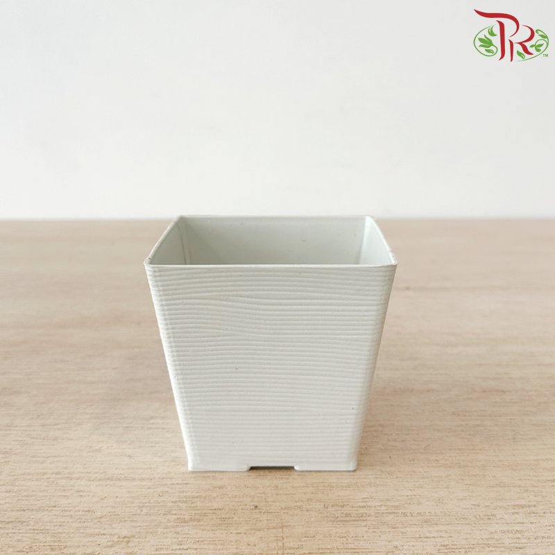 Felton Square Flower Pot (FBL-263-6) (FBL-263-7) (With Size & Color Options)