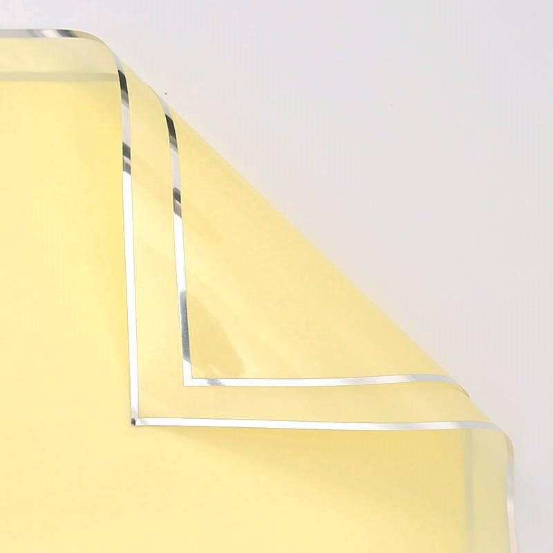 Silver Frame Opp Plastic - Glossy & Matt