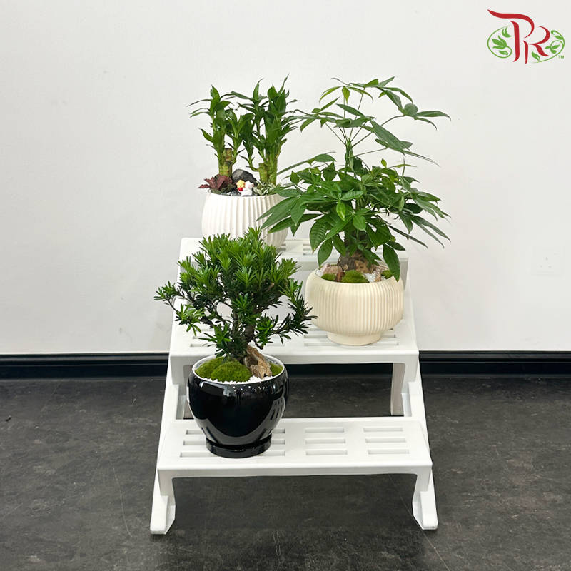 Felton 3 Tier Plant Stand 2969 (FSP-S29-69)