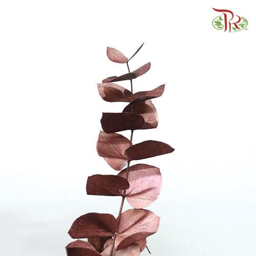 Eucalyptus Dyed Metal Preservatives - Bronze - Pudu Ria Florist
