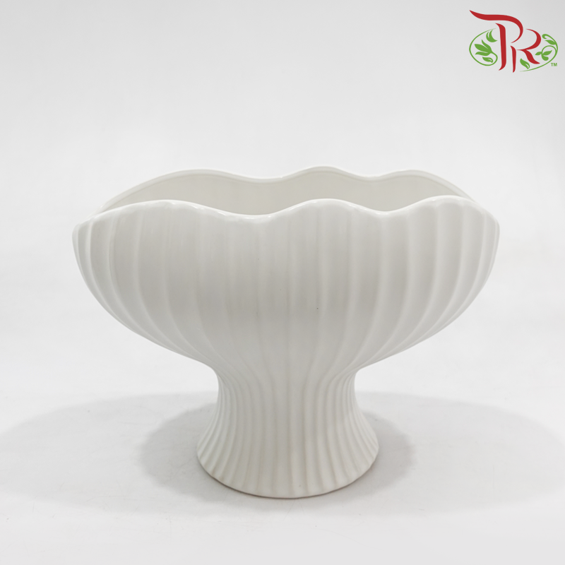 KLY-A-12 Geometric Shell Shaped Ceramic Flower pot (2 sizes)