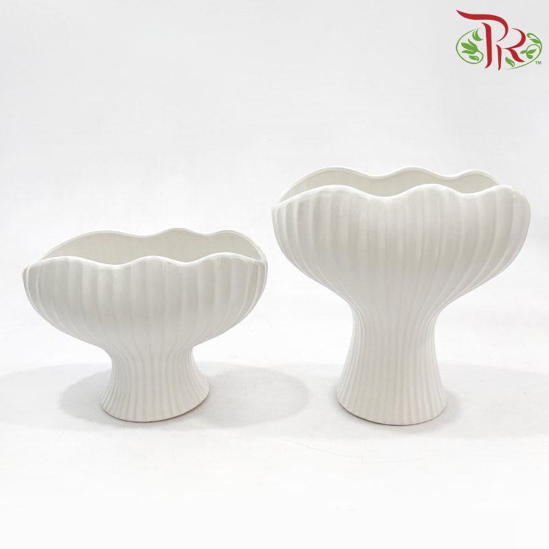 KLY-A-12 Geometric Shell Shaped Ceramic Flower pot (2 sizes)