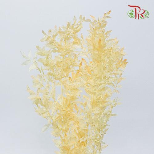 Dry Ruscus Colour - Light Cream - Pudu Ria Florist