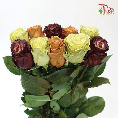 Ceres Rose - Fall Mix 3 (10 stems) - Pudu Ria Florist