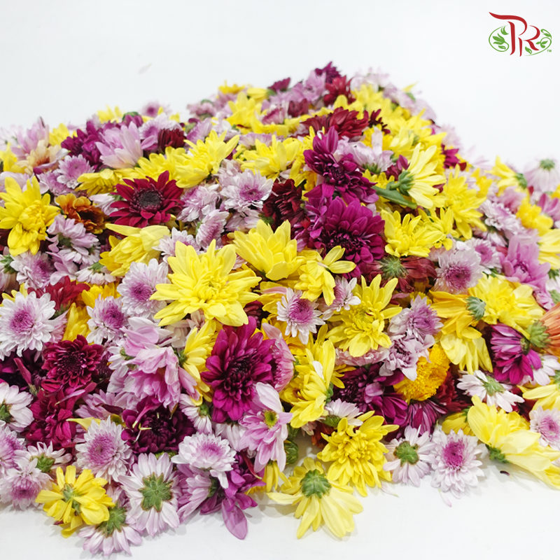 Loose Pom Pom (Random Mix Color)