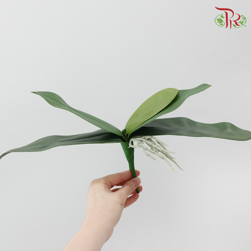 Artificial M. Butterfly Leaf