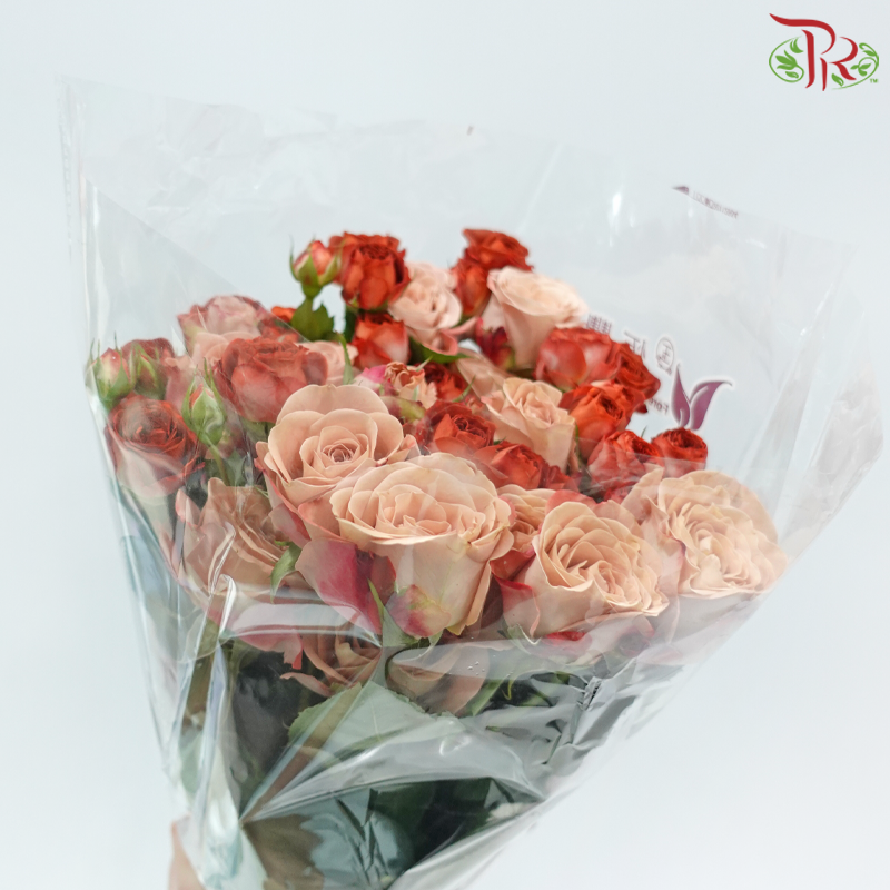 Rose Spray 《多头玫瑰》