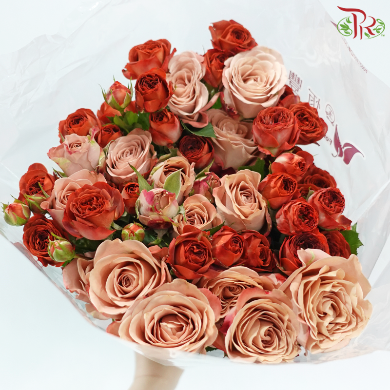 Rose Spray 《多头玫瑰》