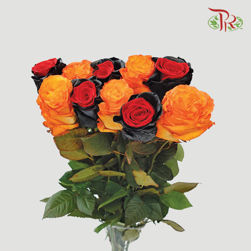Ceres Rose - Mix Halloween 2 (10 Stems) - Pudu Ria Florist