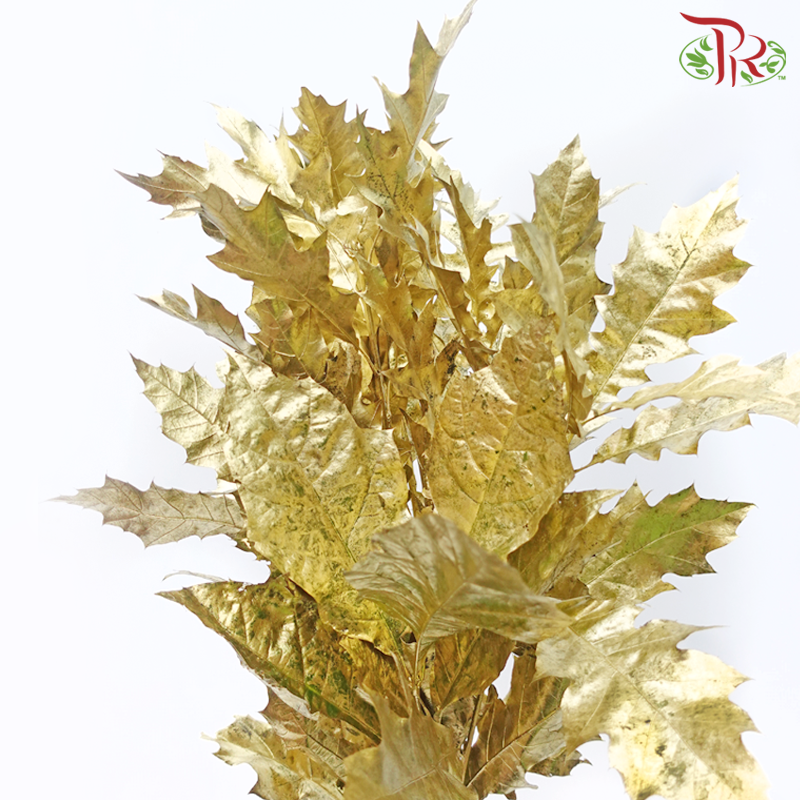 Oak Leaf Dyed - Gold (5 Stems) - Pudu Ria Florist