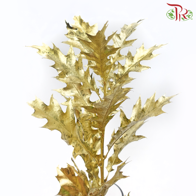 Oak Leaf Dyed - Gold (5 Stems) - Pudu Ria Florist
