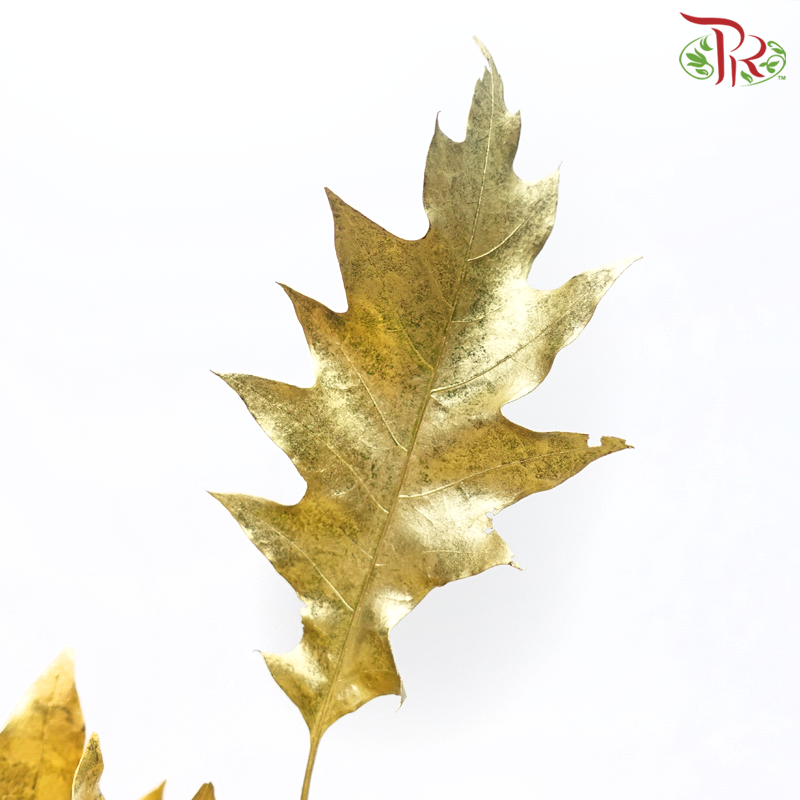 Oak Leaf Dyed - Gold (5 Stems) - Pudu Ria Florist