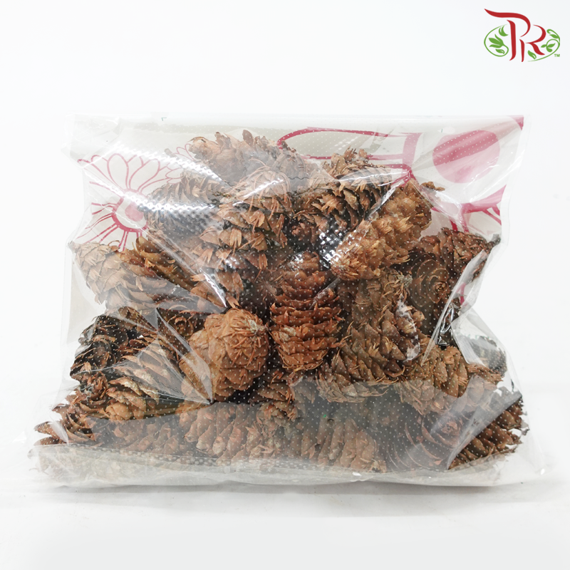 Pine Cone - (250gram) - Pudu Ria Florist