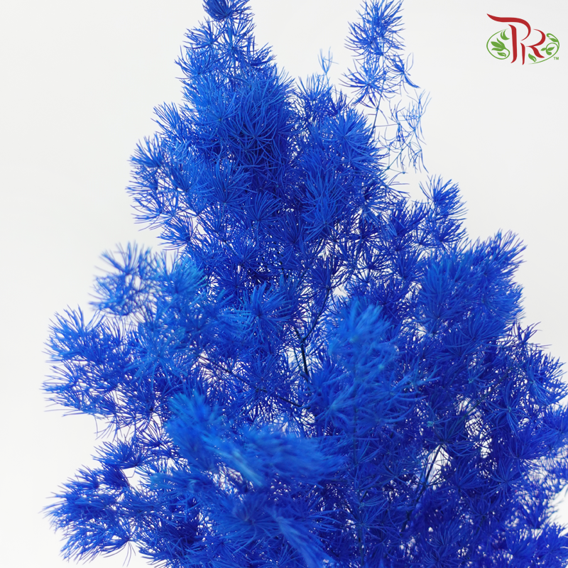 Preserved Asparagus Leaf