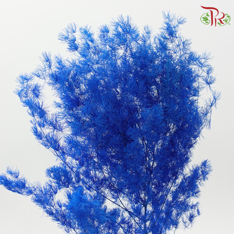 Preserved Asparagus Leaf