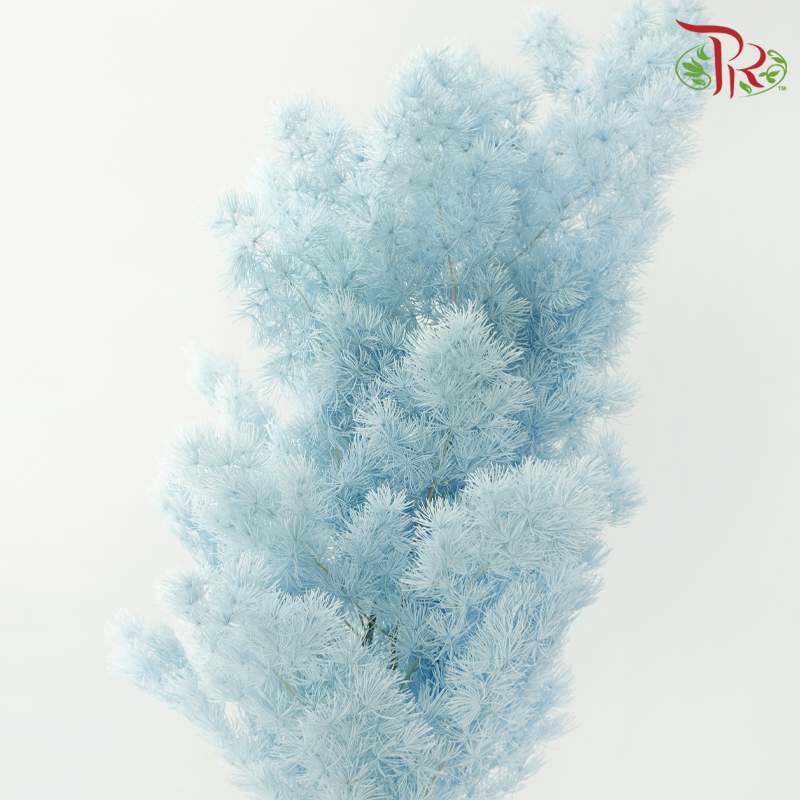 Preserved Asparagus Leaf