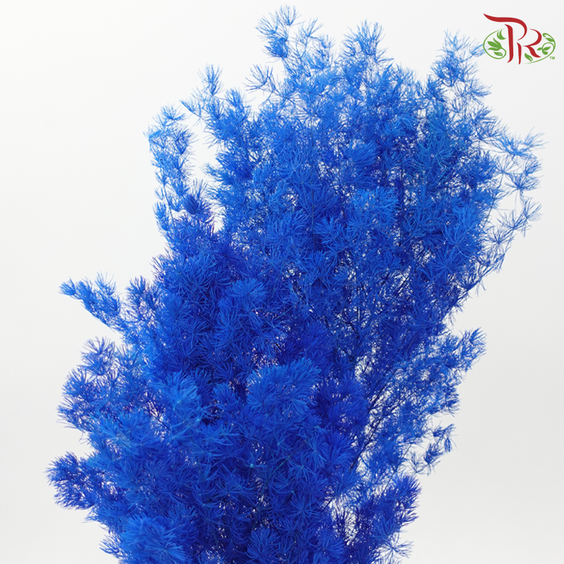 Preserved Asparagus Leaf