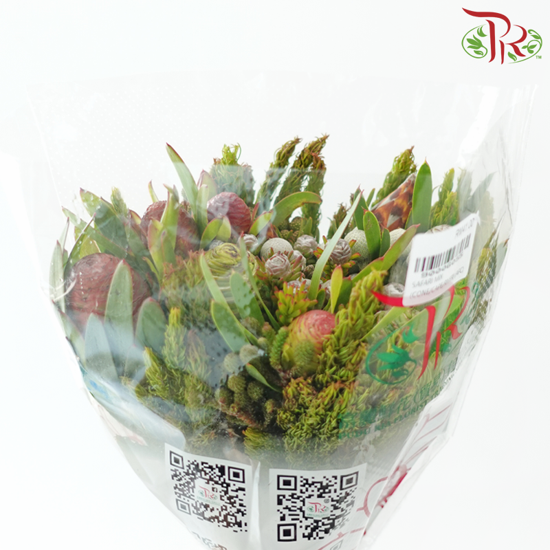 Safari Cape Cone Mix Bouquet **Random Choose Cone/Fillers