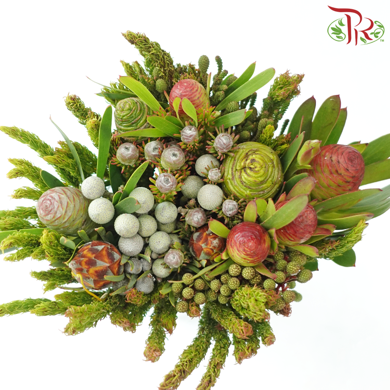 Safari Cape Cone Mix Bouquet **Random Choose Cone/Fillers