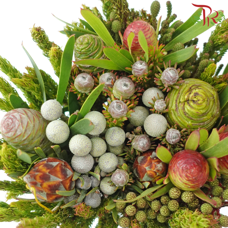 Safari Cape Cone Mix Bouquet **Random Choose Cone/Fillers