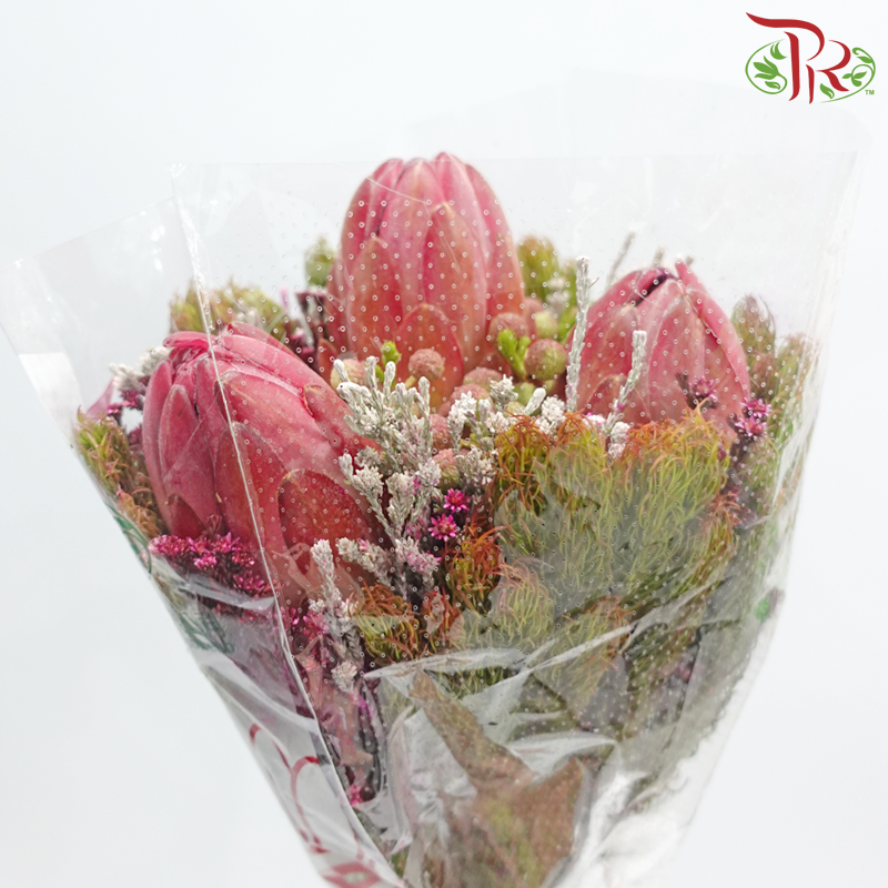 Safari Premium Bouquet ( Christmas Edition ) **Random Cone/Fillers