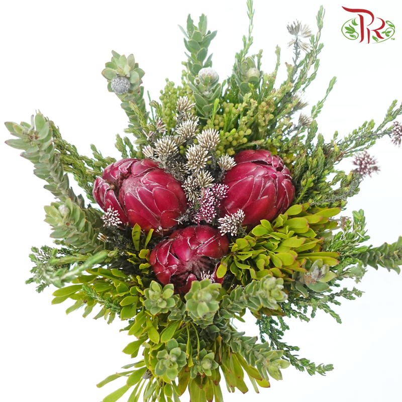 Safari Premium Bouquet ( Christmas Edition ) **Random Cone/Fillers