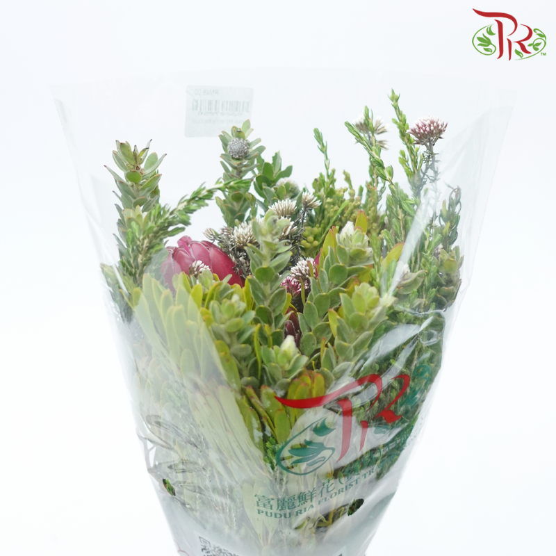 Safari Premium Bouquet ( Christmas Edition ) **Random Cone/Fillers