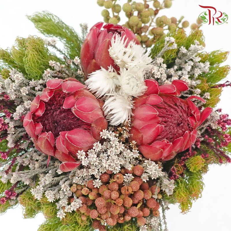 Safari Premium Bouquet ( Christmas Edition ) **Random Cone/Fillers