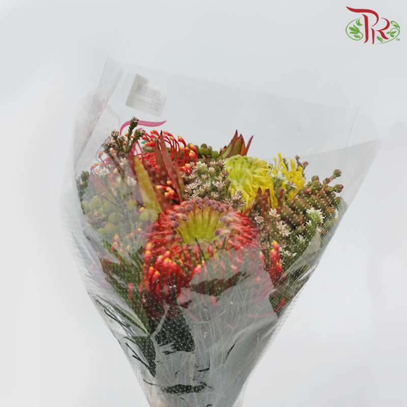 Safari Premium Leucospermum Bouquet - Orange With Yellow (Per Bunch) - Pudu Ria Florist