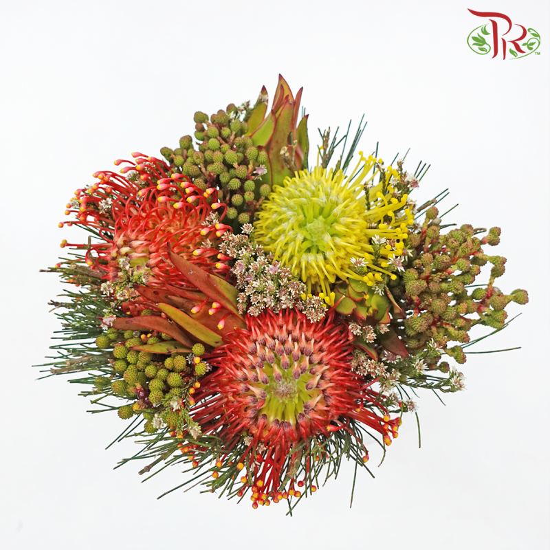 Safari Premium Leucospermum Bouquet - Orange With Yellow (Per Bunch) - Pudu Ria Florist