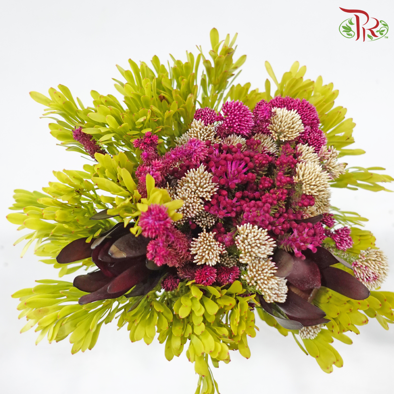 Safari Cape Cone Mix Bouquet **Random Choose Cone/Fillers