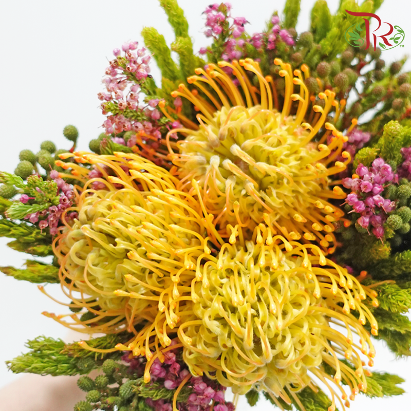 Safari Leucospermum Bouquet **Random Choose Cone/Fillers