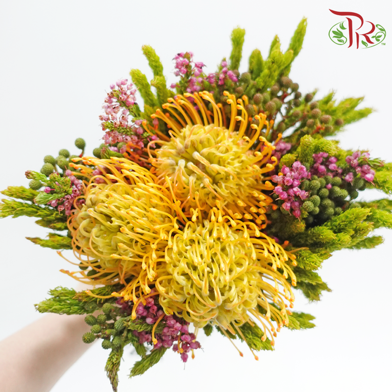Safari Leucospermum Bouquet **Random Choose Cone/Fillers
