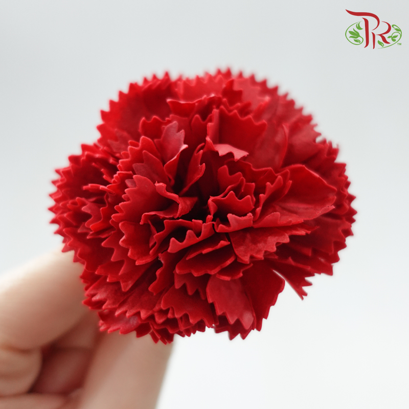Carnations Soap Flower