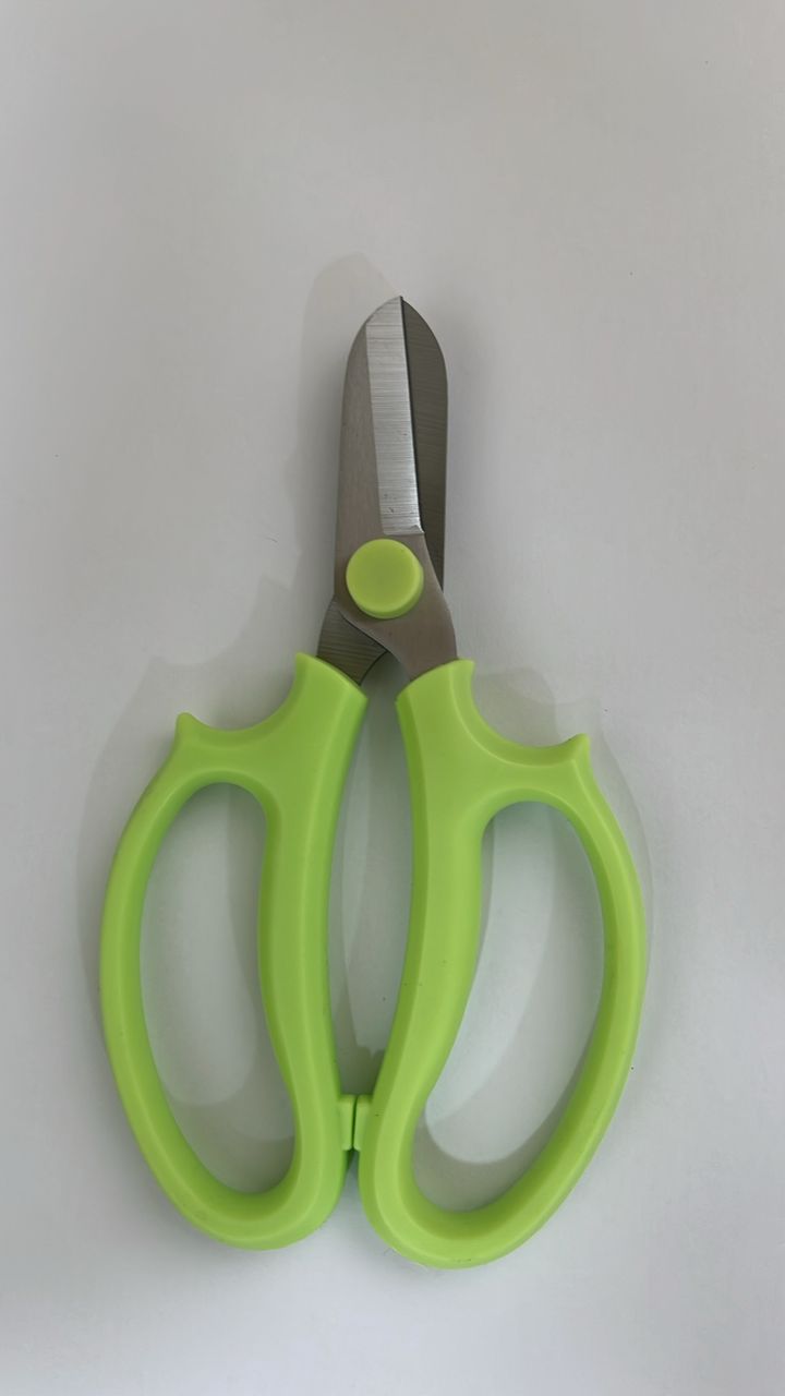 Scissors Stainless Steel (165MM)