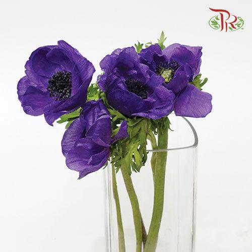 Anemone - Purple (5 Stems) ***FRAGILE - Pudu Ria Florist