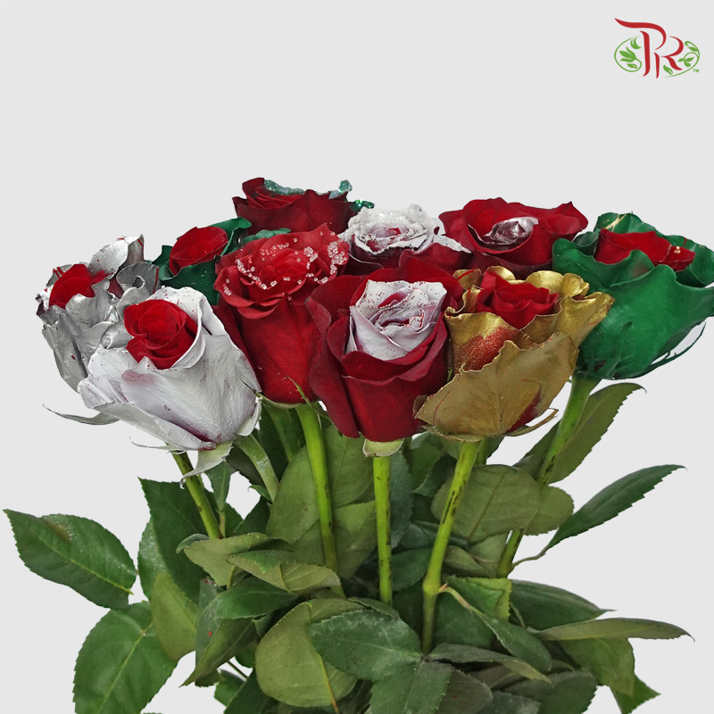Ceres Rose - Xmas Mix (10 Stems) - Pudu Ria Florist