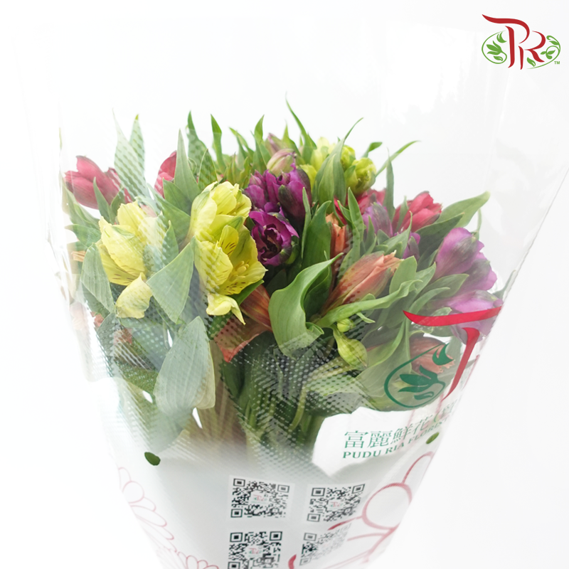 Alstroemeria In Assorted Colour Bunch (10 Stems)-Kenya-prflorist.com.my