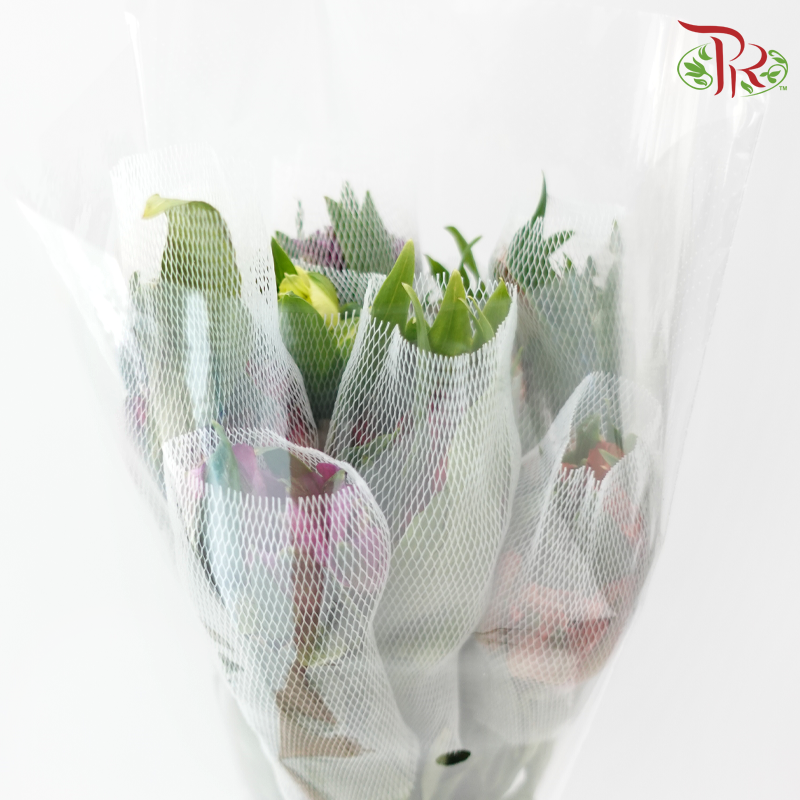 Alstroemeria In Assorted Colour Bunch (10 Stems)-Kenya-prflorist.com.my