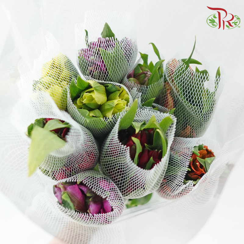 Alstroemeria In Assorted Colour Bunch (10 Stems)-Kenya-prflorist.com.my