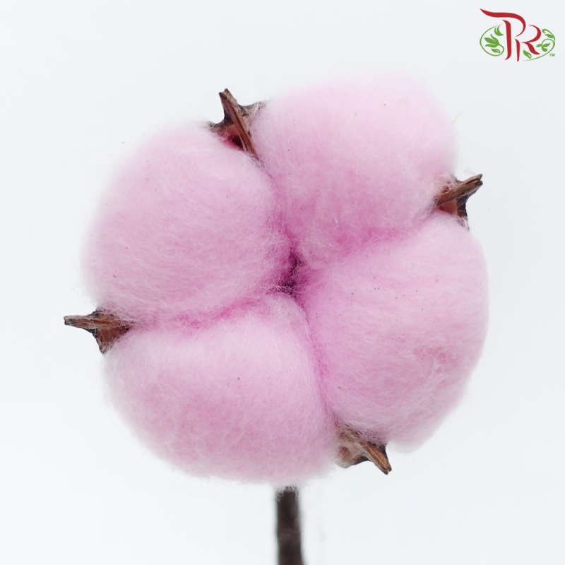 Artificial Cotton Flower - Pink (10 Stems)-Pink-China-prflorist.com.my