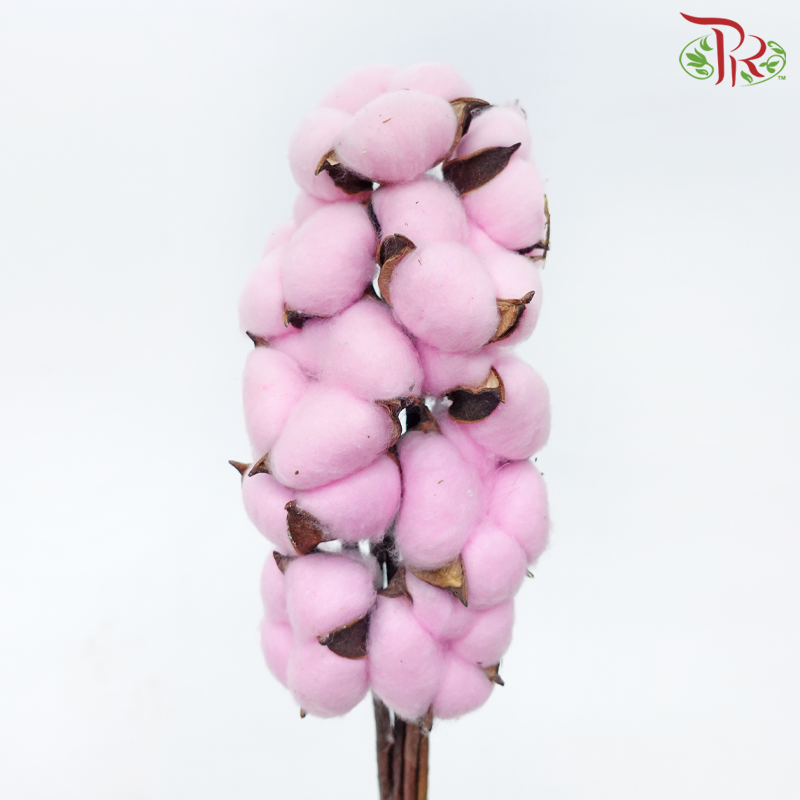 Artificial Cotton Flower - Pink (10 Stems)-Pink-China-prflorist.com.my