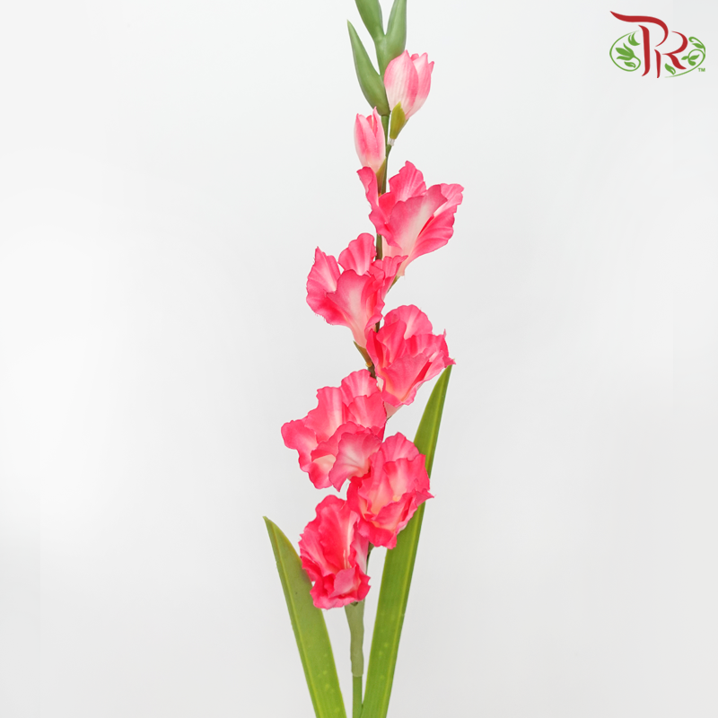 Artificial Gladiolus Spray - Neon Pink (2 Stems)-Neon Pink-Pudu Ria Florist-prflorist.com.my