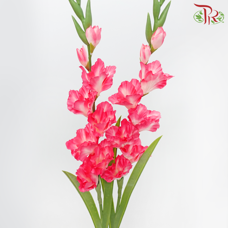 Artificial Gladiolus Spray - Neon Pink (2 Stems)-Neon Pink-Pudu Ria Florist-prflorist.com.my