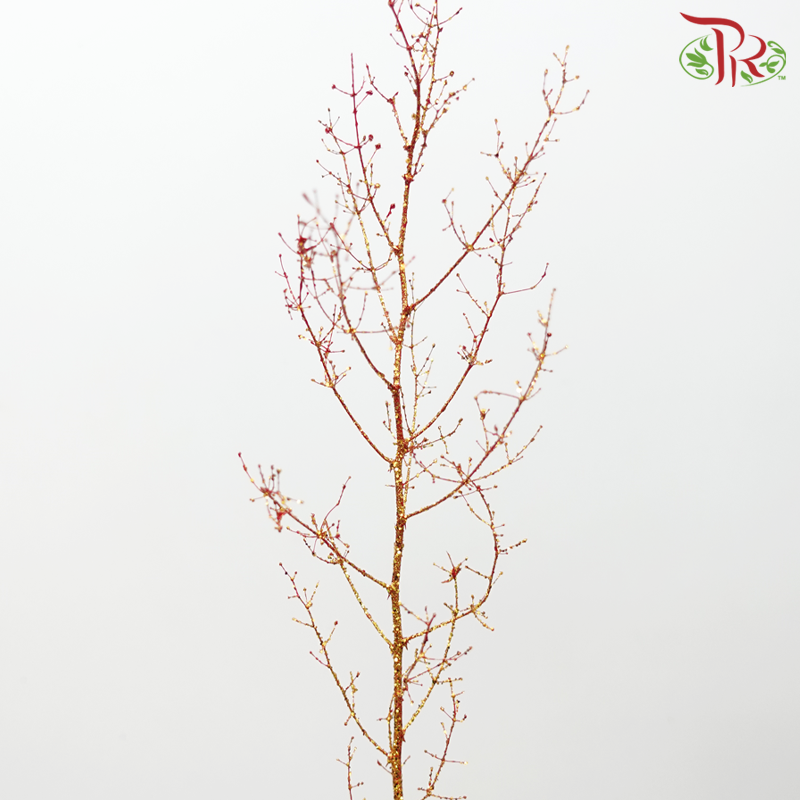Asparagus Leaf Dyed - Glitter Gold (Per Bunch)-Glitter Gold-Japan-prflorist.com.my